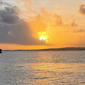 Meet your Posher, Sophie